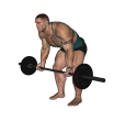 Reverse Row - Bent Over